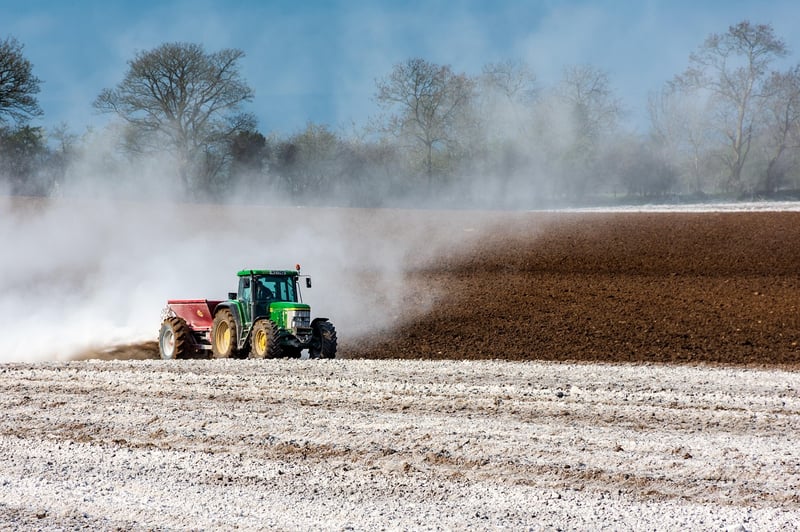 Homemade Fertilizers