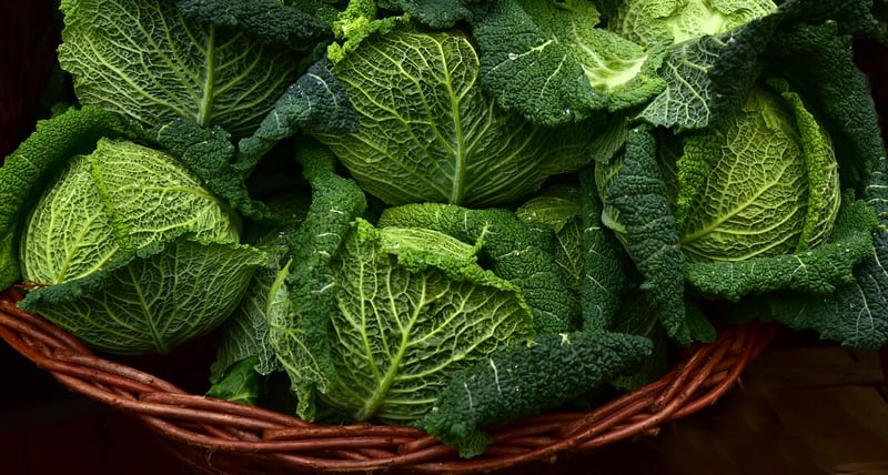 Lettuce