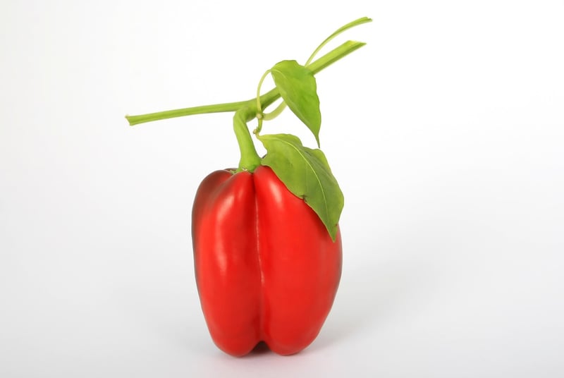 Peppers